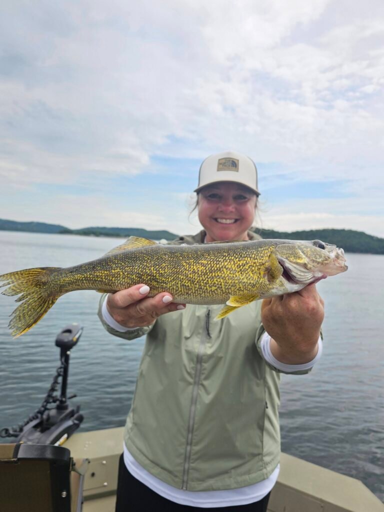 Walleye caught during a guided fishing trip on Beaver Lake